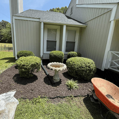 LANDSCAPING